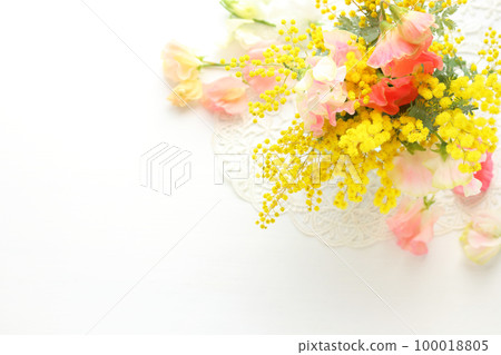 mimosa and sweet pea 100018805