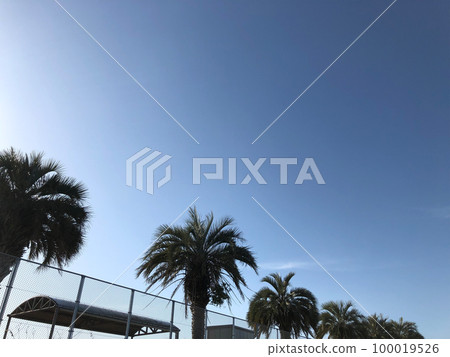 clear sunny park 100019526