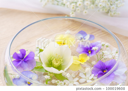 春天的飄花 春天的飄花 100019608