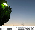 outdoor lights and sunset 100020010