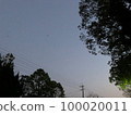 Dusk sky and electric wires seen from the park 100020011