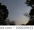 Dusk sky seen from the park 100020015