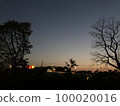 Dusk sky and city seen from the park 100020016