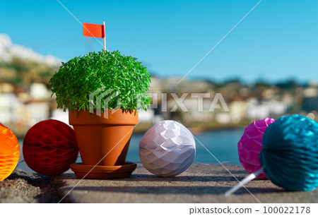 Manjerico plant against Portugal city 100022178