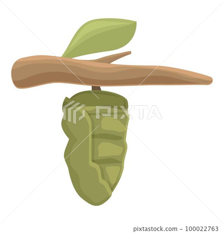 Nature cocoon icon cartoon vector. Natural leaf. Larva life Nature cocoon icon cartoon vector. Natural leaf. Larva life 100022763