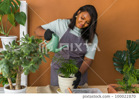 African american woman diversity gardener watering plant in ceramic pots. Concept of home garden and potted plants African american woman diversity gardener watering plant in ceramic pots. Concept of home garden and potted plants 100022870