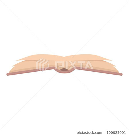 School open book icon cartoon vector. Study education. Document information School open book icon cartoon vector. Study education. Document information 100023001