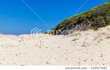Protective structures in the sands of nesting sites for egg-laying turtles Protective structures in the sands of nesting sites for egg-laying turtles 100023665