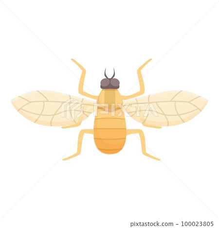 Africa tsetse fly icon cartoon vector. Tik insect. Ancient wings 100023805
