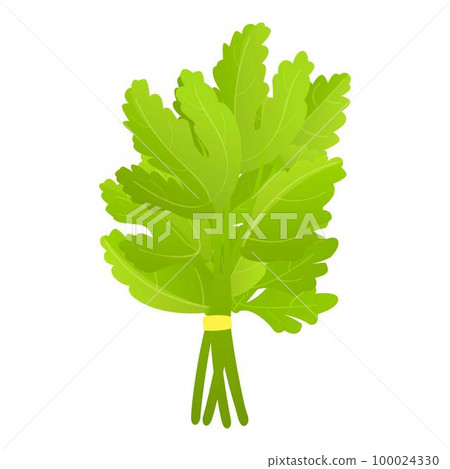 Parsley salad icon cartoon vector. Leaf plant. Fresh food Parsley salad icon cartoon vector. Leaf plant. Fresh food 100024330