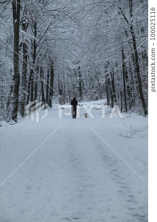 winter landscape 100025116