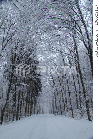 winter landscape 100025117