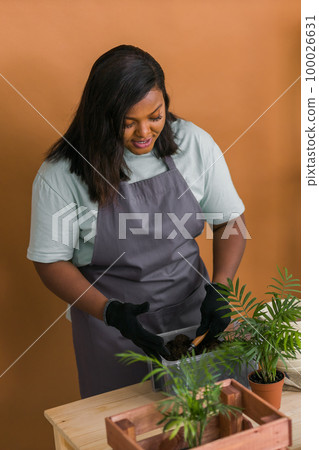 African american girl blogger influencer work on home video camera selfie shoot filming take care home plants and transplanting plant in flowerpot. Home gardening and florist concept. African american girl blogger influencer work on home video camera selfie shoot filming take care home plants and transplanting plant in flowerpot. Home gardening and florist concept. 100026631
