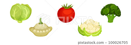 Raw Vegetables as Ripe Garden Crop Vector Set Raw Vegetables as Ripe Garden Crop Vector Set 100026705