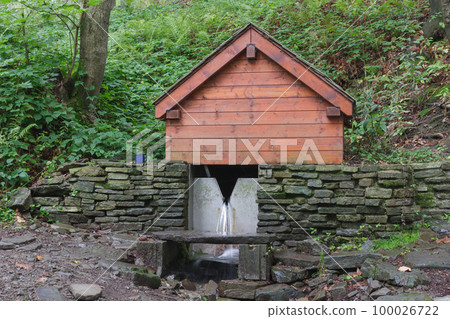 Hearty spring of water in Beskid Mountains. His name is spring of Jicinka . Drinking water source for tourists 100026722