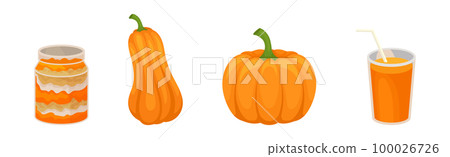 Pumpkin Dish and Food with Ripe Bright Orange Crop Vector Set 100026726