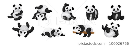 Black and White Giant Panda Bear in Different Pose Vector Set Black and White Giant Panda Bear in Different Pose Vector Set 100026766
