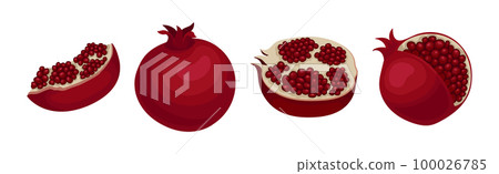 Ruby Pomegranate Fruit with Seeds Inside Vector Set Ruby Pomegranate Fruit with Seeds Inside Vector Set 100026785