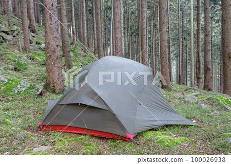 Lightweight freestanding three-season 2-person tent, inner tent body with rainfly, on forest in the evening in spruce forest  in Beskid Mountains 100026938