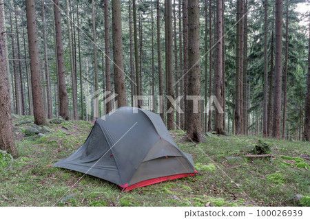 Lightweight freestanding three-season 2-person tent, inner tent body with rainfly, on forest in the evening in spruce forest  in Beskid Mountains 100026939