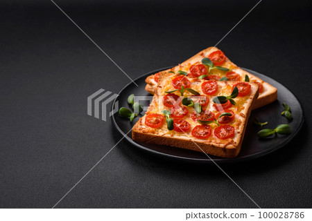Delicious fresh toast or bruschetta with tomatoes, cheese, herbs, salt and spices Delicious fresh toast or bruschetta with tomatoes, cheese, herbs, salt and spices 100028786