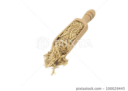 siberian ginseng in latin Eleutherococcus senticosus in wooden scoop isolated on white siberian ginseng in latin Eleutherococcus senticosus in wooden scoop isolated on white 100029445