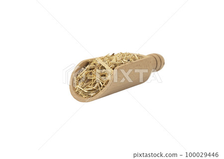 siberian ginseng in latin Eleutherococcus senticosus in wooden scoop isolated on white  100029446