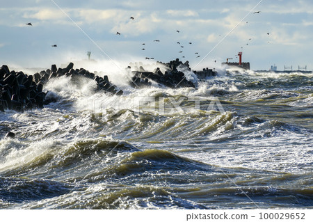 Coastal storm in the Baltic Sea, big waves crash against the harbor breakwater, breaking wave 100029652