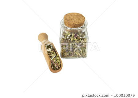 Catnip herb in latin - Nepeta cataria in wooden scoop and glass jar on isolated on white background. Medicinal herb. 100030079