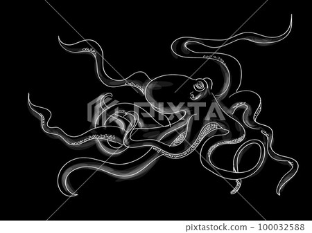 octopus vector illustration 100032588