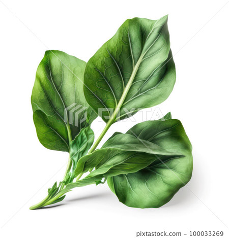 green spinach leaves isolated on white background.generative AI 100033269