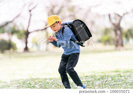 elementary student, primary school child, primary school student 100035071