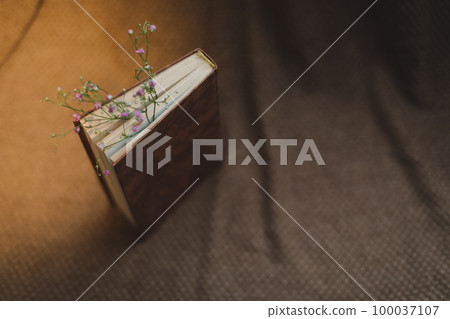 Still life with old book and dried flowers on dark vintage background top view. Flat lay styling. Still life with old book and dried flowers on dark vintage background top view. Flat lay styling. 100037107