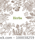 Hand-Drawn Color Square Template with Herbs 100038259