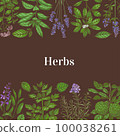 Hand-Drawn Color Square Template with Herbs 100038261