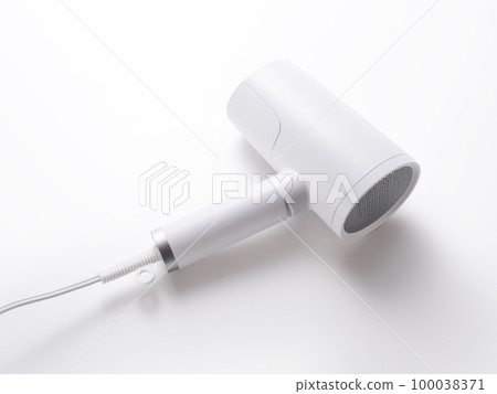 Hair Dryer  100038371