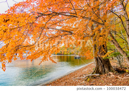 Autumn leaves in Nikko -Lake Chuzenji- 100038472
