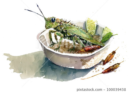 Image material: Watercolor illustration inspired by insect food 100039438