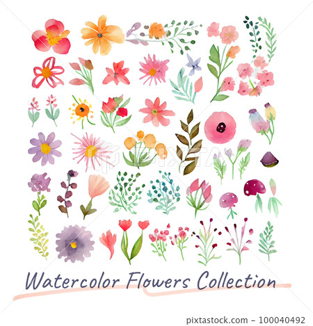 Image material: Cute flower watercolor illustration set 100040492
