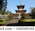 Peace Pagoda and Fountain at Naritasan Shinshoji Temple in Spring 100040548