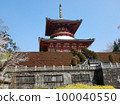 Naritasan Shinshoji Temple with cherry blossoms 100040550