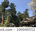 Katori Shrine worship hall in spring 100040552