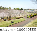 Nakadai Sports Park with cherry blossoms in full bloom 100040555