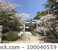 Torii and cherry blossoms at Katori Shrine 100040559