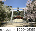 Cherry blossoms in full bloom surrounding the torii of Katori Shrine 100040565