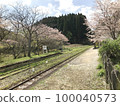 Kominato Railway Tsukizaki Station with cherry blossoms 100040573