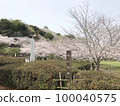 Cherry blossoms in full bloom and Tateyama Castle on the hill 100040575