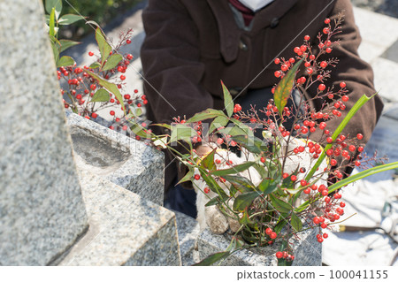 Visiting a grave Senior woman offering Nanten to the grave Visiting a grave Senior woman offering Nanten to the grave 100041155