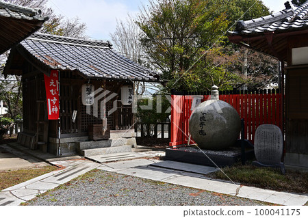 春天的春野神社 春天的春野神社 100041175