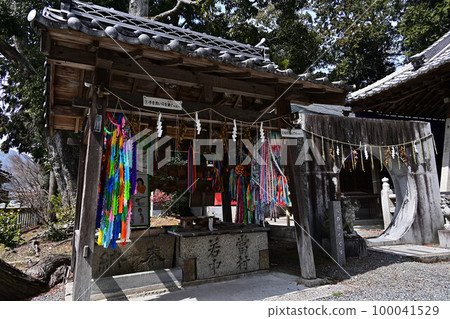 春天的春野神社 100041529